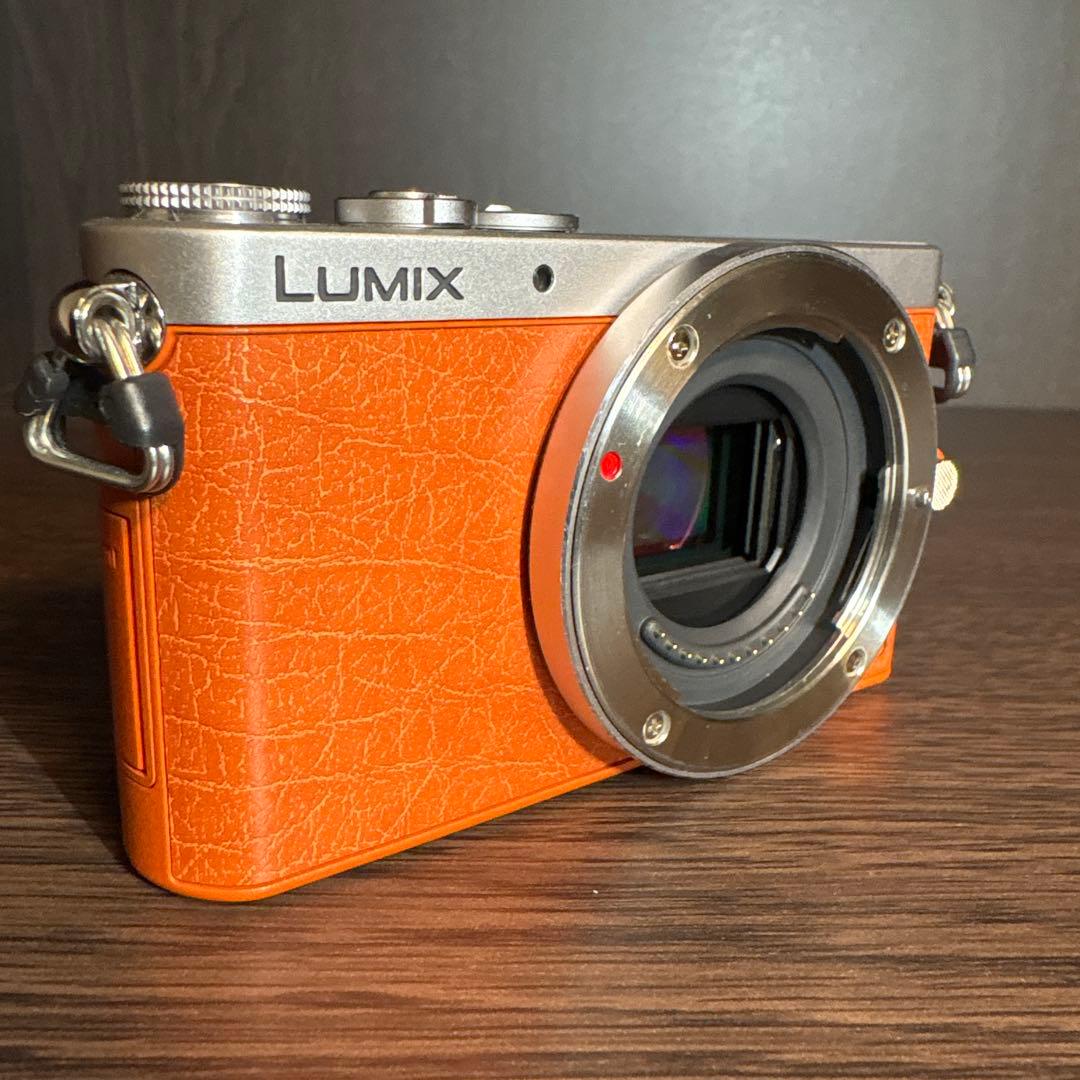 Panasonic Lumix DMC-GM1 ボディ ミラーレス一眼
