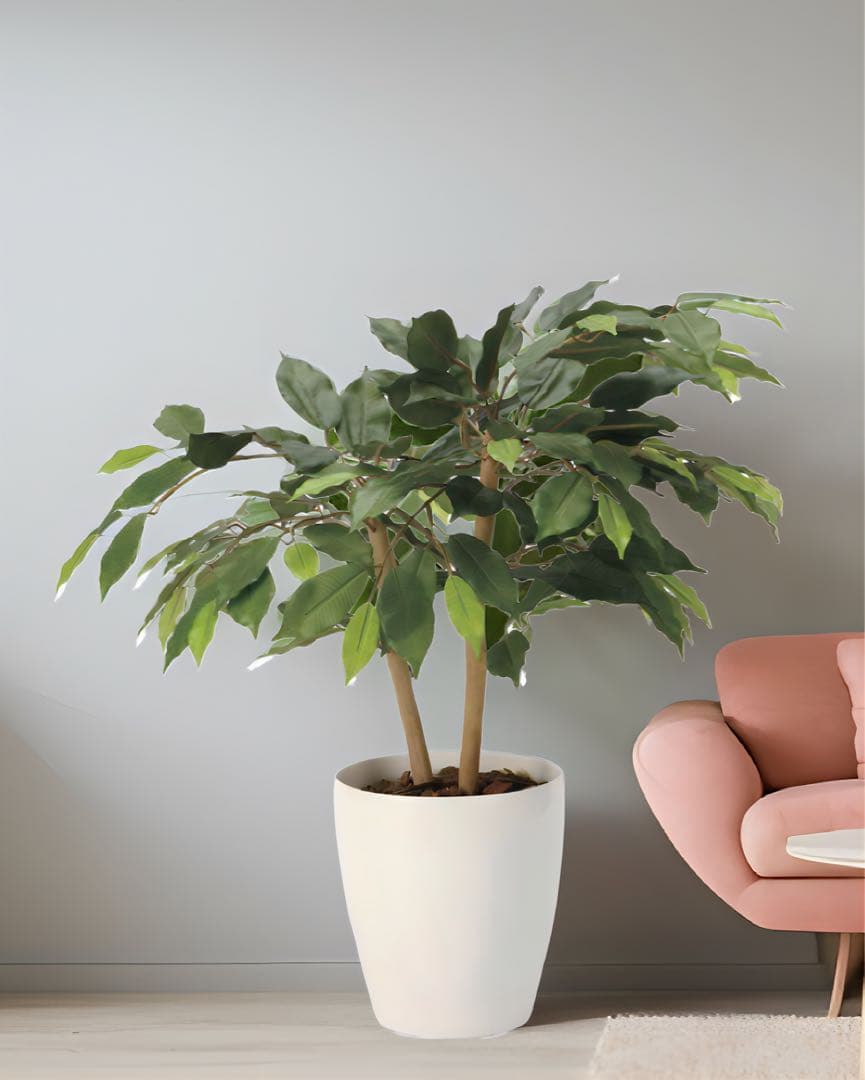 光触媒　人工観葉植物　ウォールグリーン　フェイクグリーン　ショートベンジャミン@