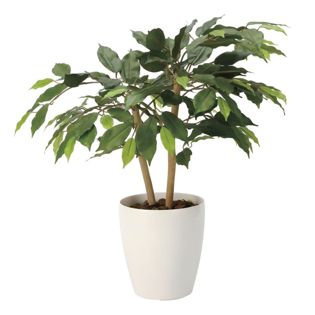 光触媒　人工観葉植物　ウォールグリーン　フェイクグリーン　ショートベンジャミン@