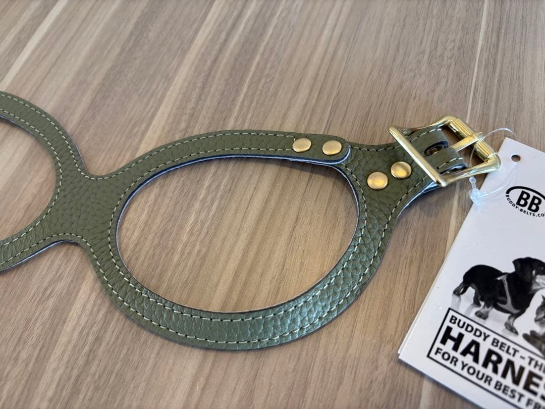 バディーベルト　レザーハーネス　新色　セージ　3.5号