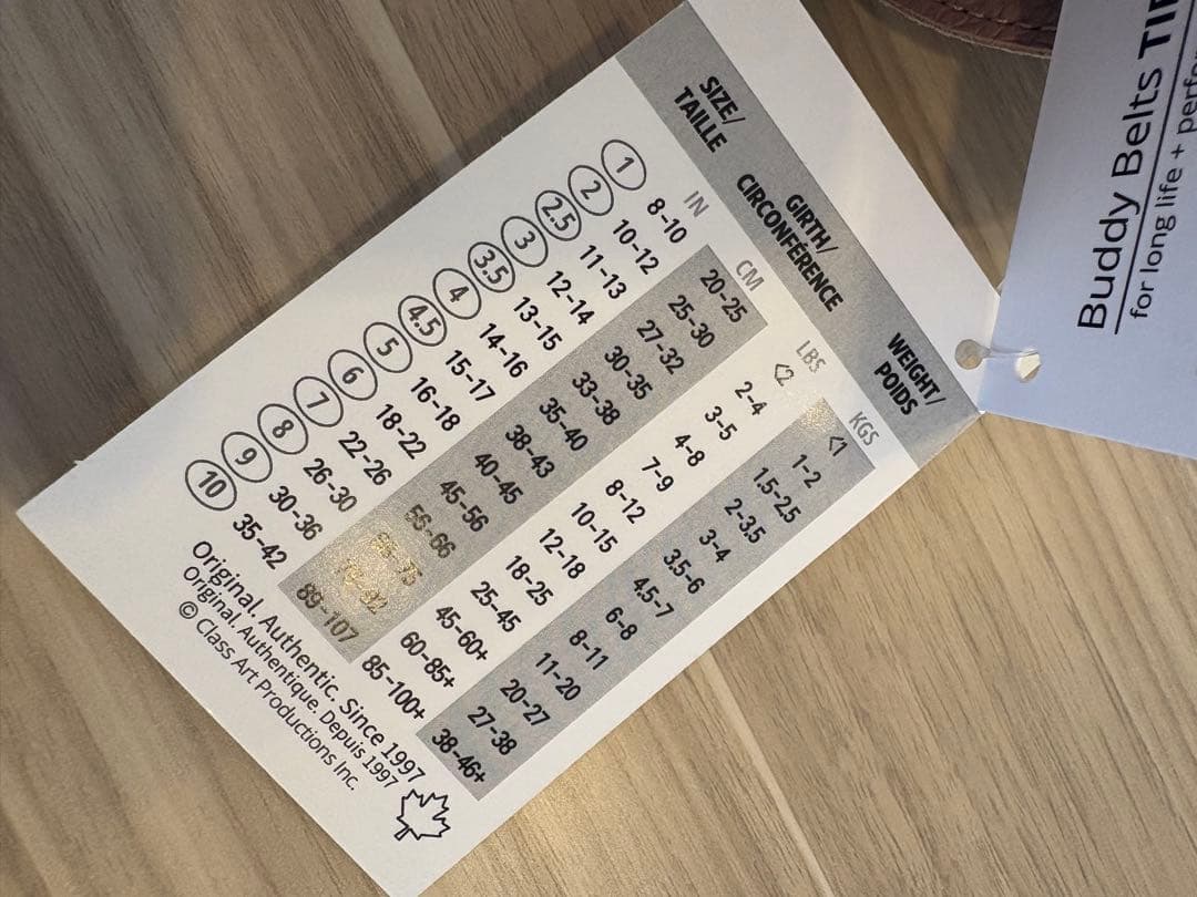 バディーベルト　レザーハーネス　新色　セージ　3.5号