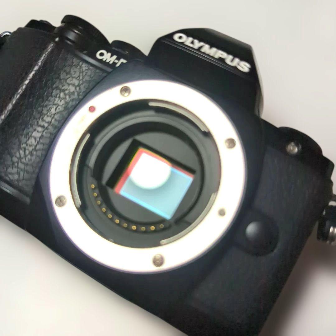 ♫　em-10 OLYMPUS OM-D ショット数少2821枚