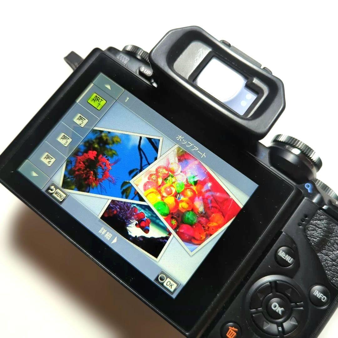 ♫　em-10 OLYMPUS OM-D ショット数少2821枚