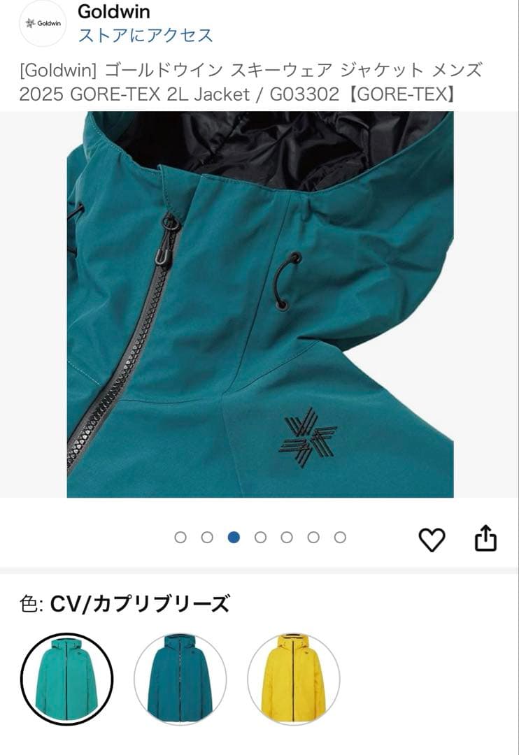 Goldwin スキーウェア cv(グリーン) gore-tex asiaXXL