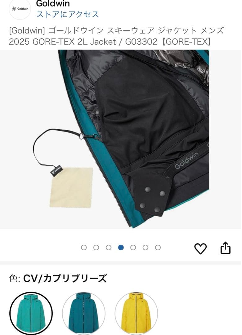 Goldwin スキーウェア cv(グリーン) gore-tex asiaXXL