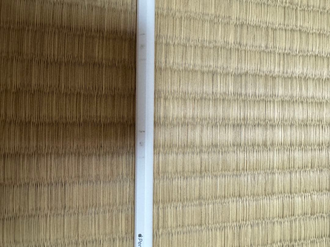 iPad Pro (第1世代)11インチ＋Apple Pencil 第2世代