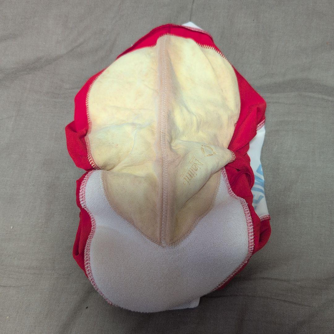 【激レア】新品未使用 GEROLSTEINER Nalini　上下セット