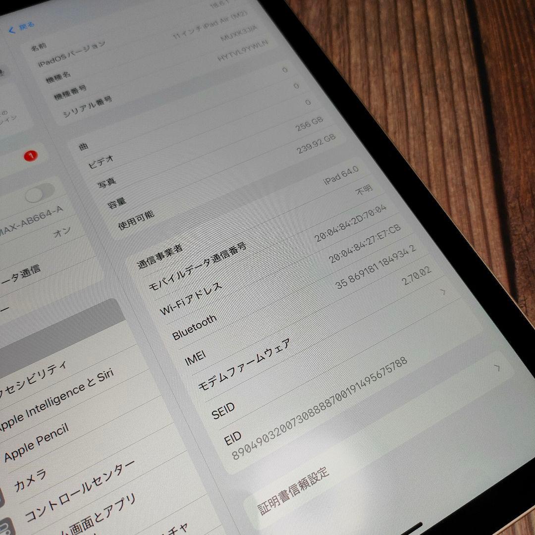 iPad Air M2 11インチ 256GB セルラーモデル 美品 保証付き