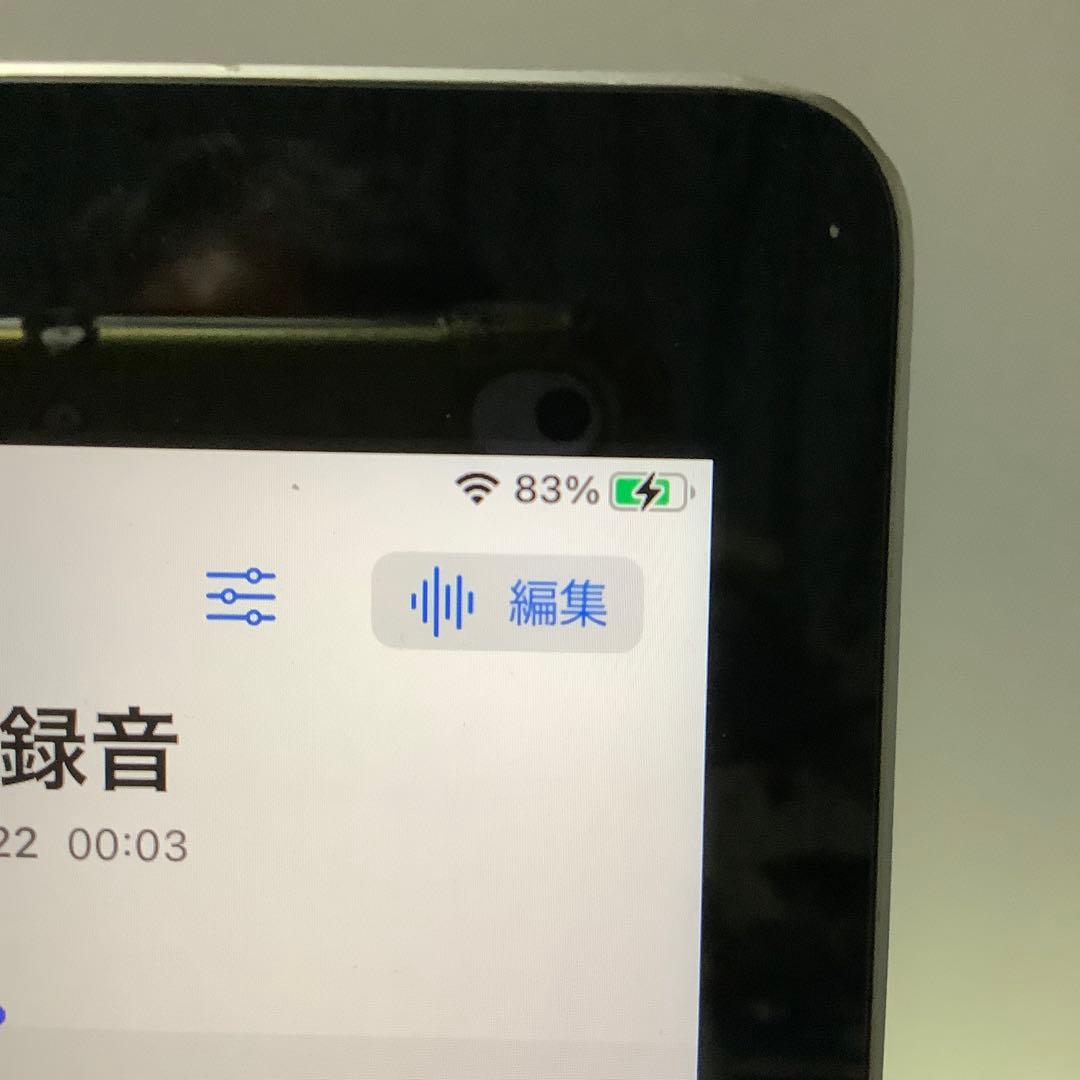 iPad第5世代128G wifi Gray バッテリー新品100%Gray