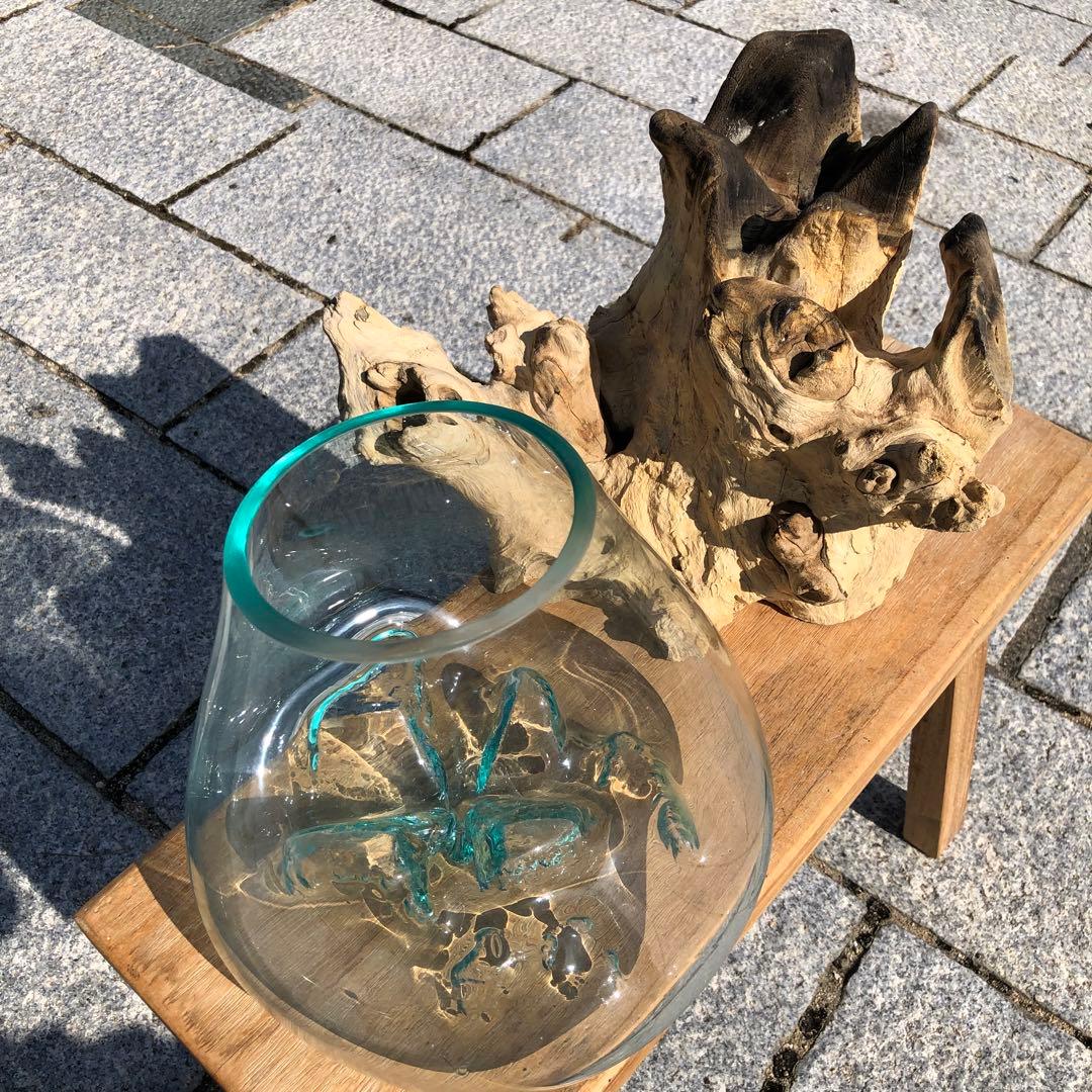 流木ガラス オブジェ特大V 花瓶 金魚鉢 ガーデニング テラリウム 観賞魚 容器