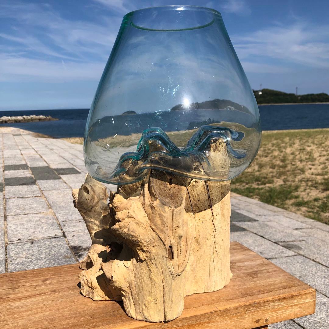 流木ガラス オブジェ特大V 花瓶 金魚鉢 ガーデニング テラリウム 観賞魚 容器