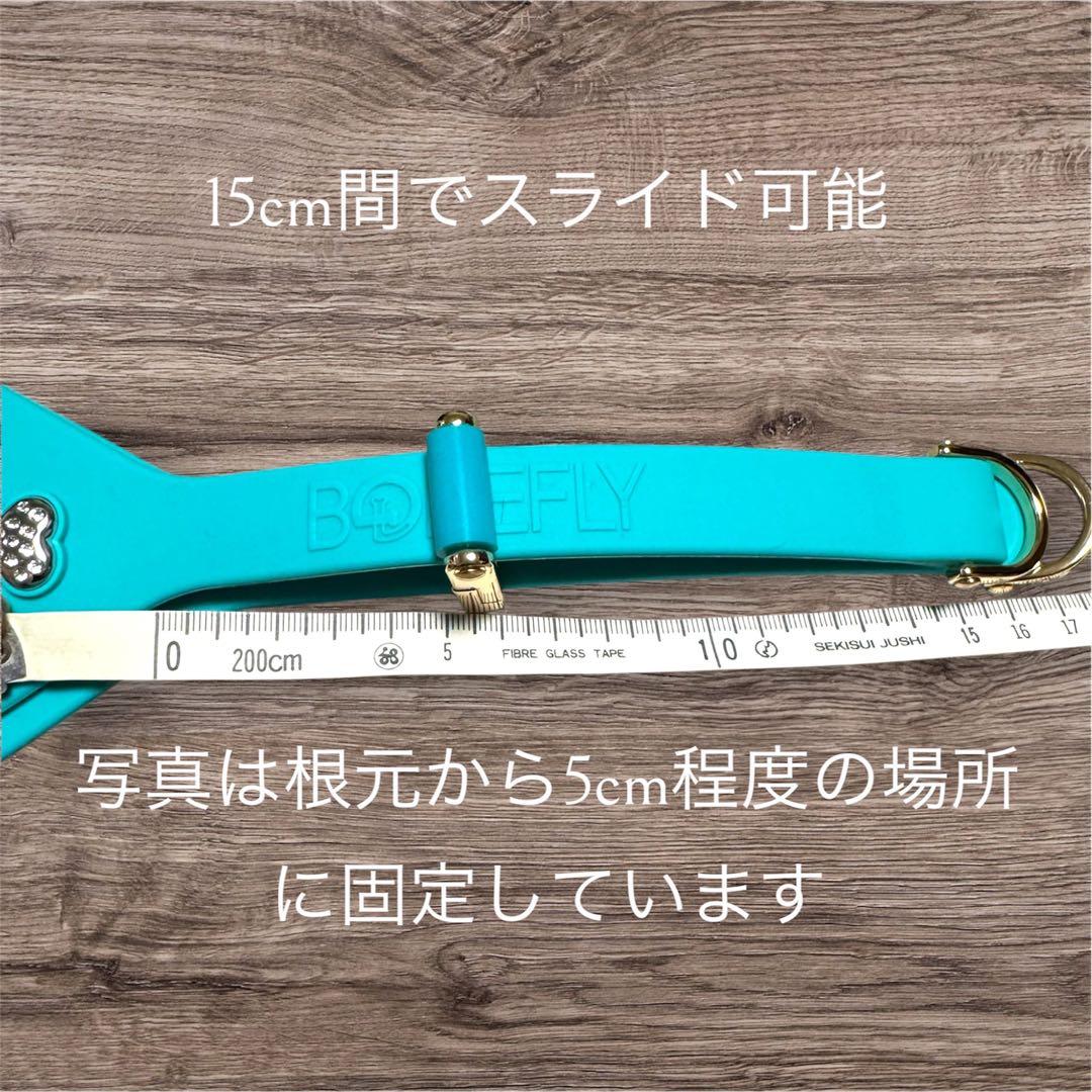 NY店舗購入　BONEFLY ドックハーネス　Mサイズ　入手困難