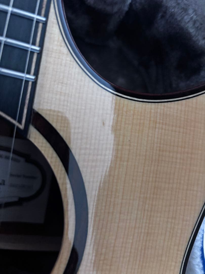 ギター naga guitars s-gac60