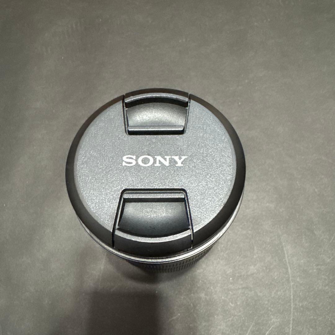 SEL24105G MCプロテクター付き