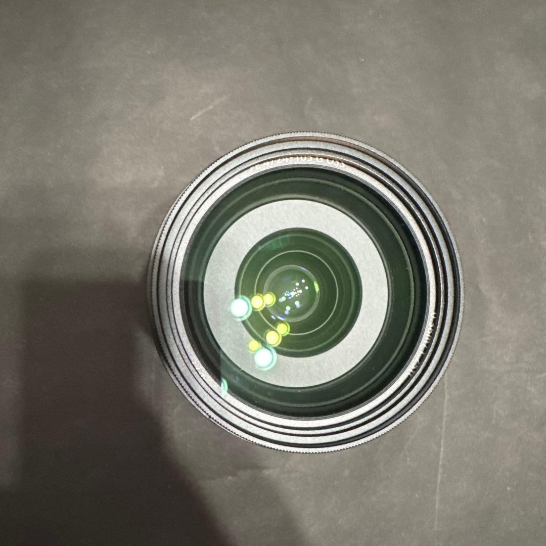 SEL24105G MCプロテクター付き