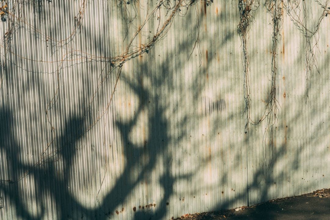 【美フレア】Super Takumar 55mm f1.8