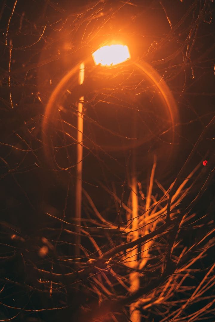 【美フレア】Super Takumar 55mm f1.8