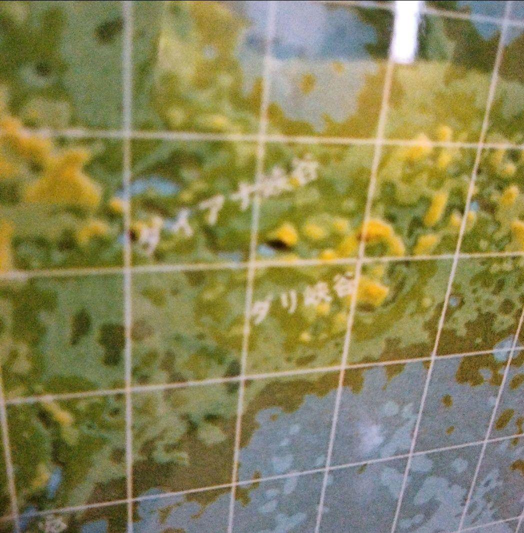 金星　地図　パネル