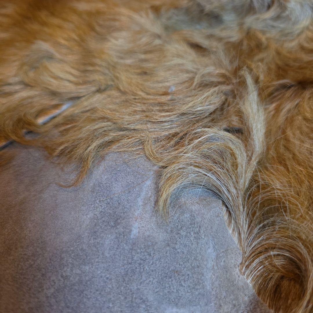 天然　本革　カウハイドラグ　茶色 毛皮ラグ 大きいサイズ