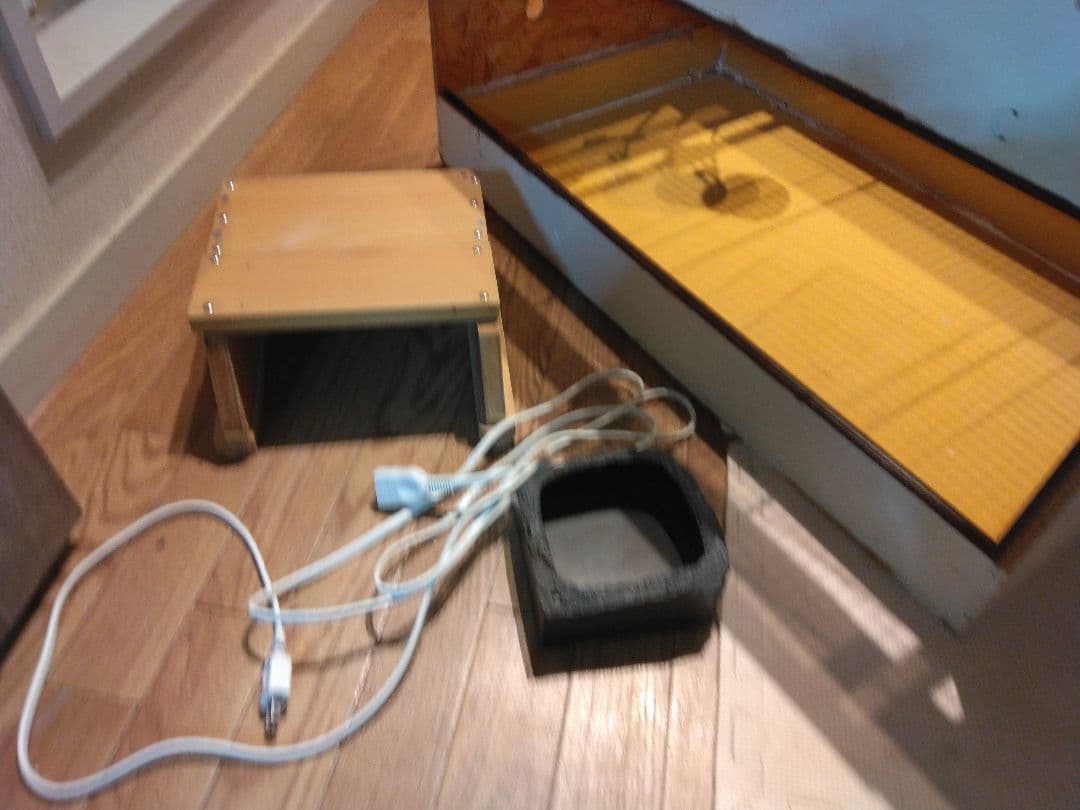 ラスト！大型爬虫類ケージ