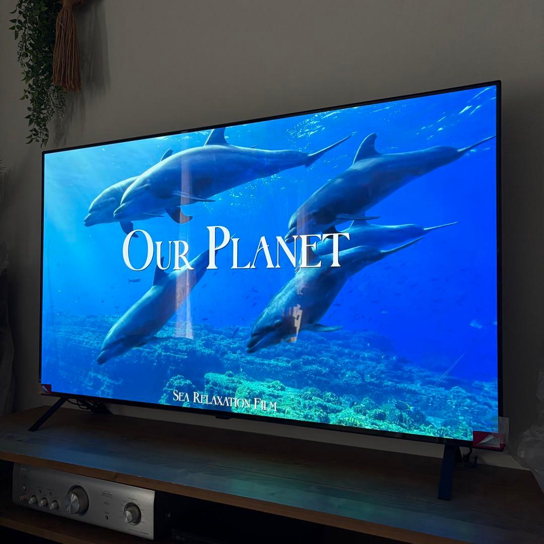 LG テレビ 55型 4Kチューナー内蔵 有機EL