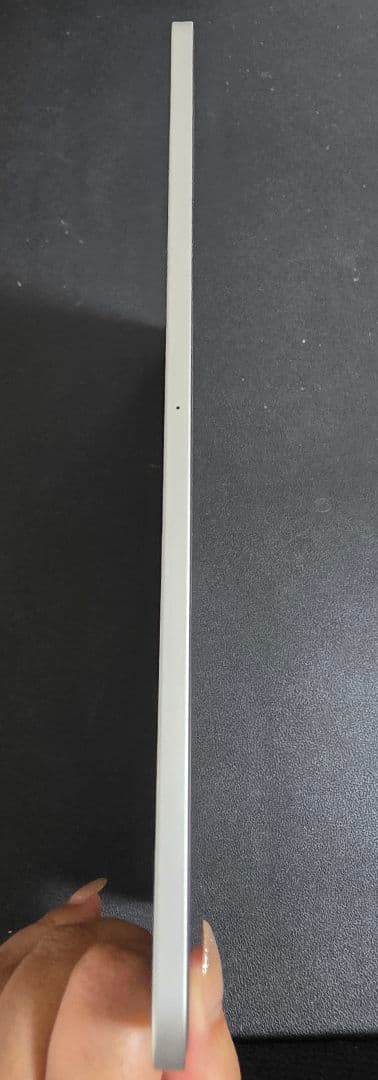 Apple IPad Pro 11インチ(第4世代)