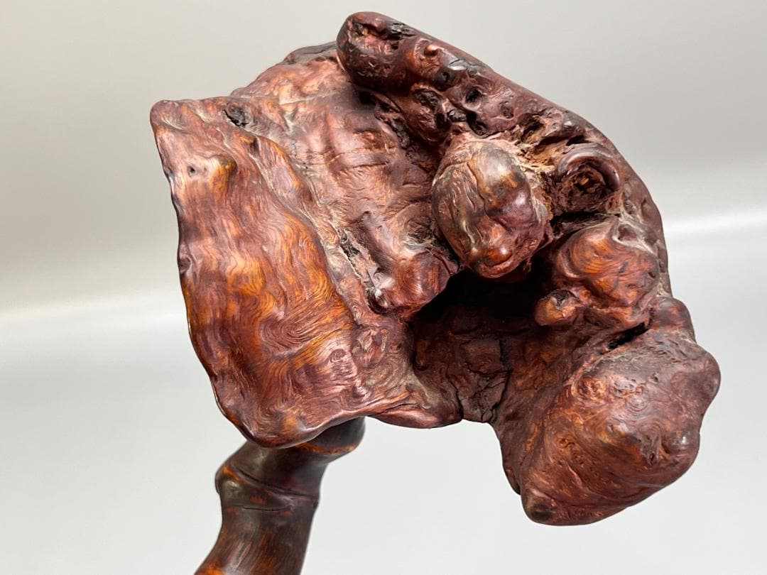 靈芝 竹雕搭天然樹瘤如意 長：47cm 古無垢材 天然木 根子彫 手彫り 置物