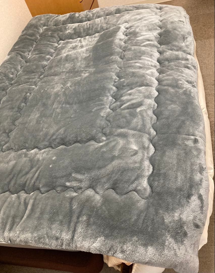 RISE Warm あったか清潔掛け布/毛布SL 150×210㎝ フランネル