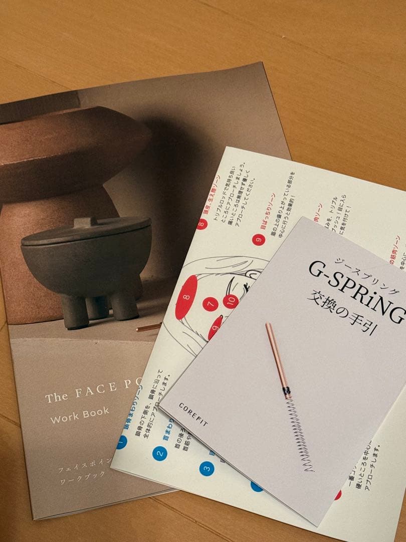 ボディ・フェイスケア TheFacePointerGravity & G-Spring980