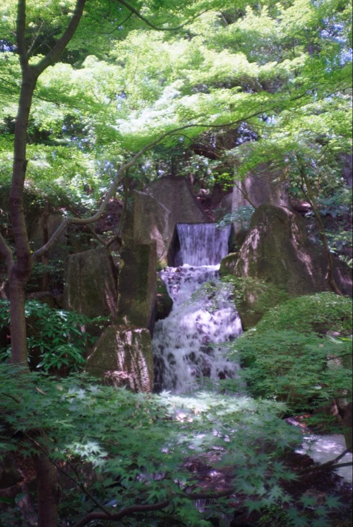 KONICA C35 flashmatic 整備、テスト撮影済み　271132