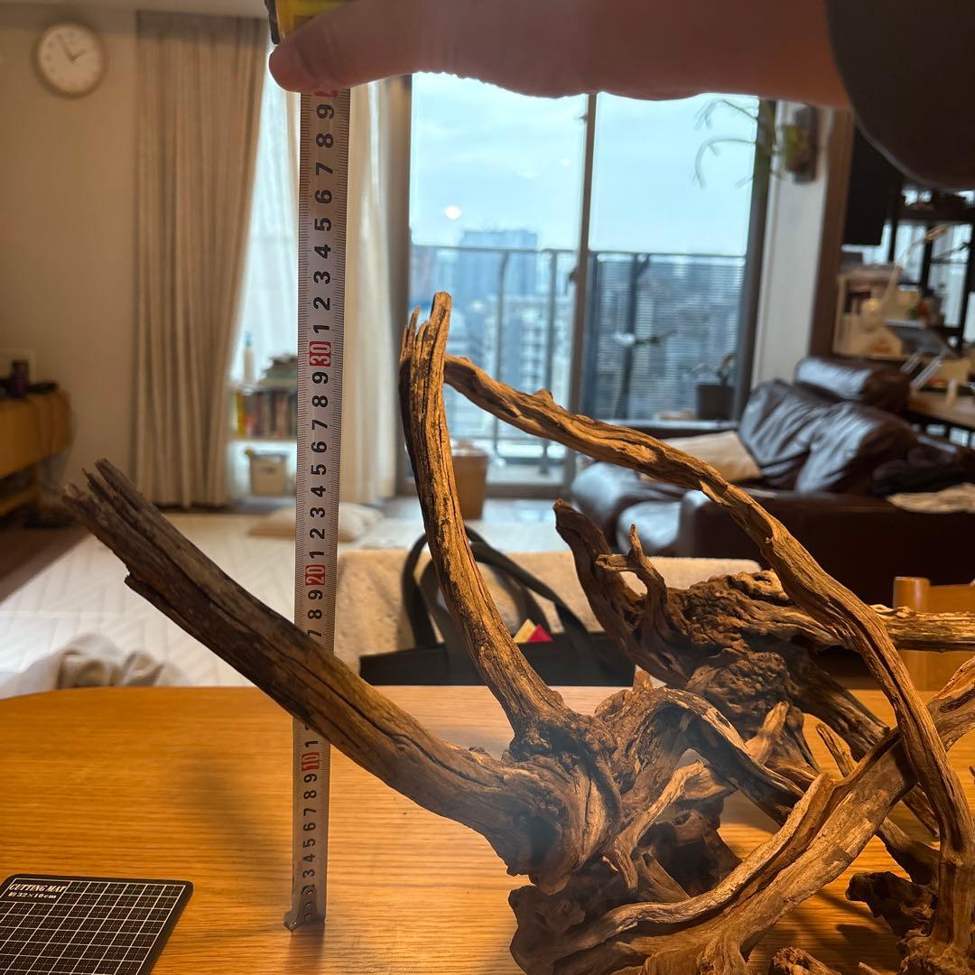 【早い者勝ち】ADA流木　5本（まとめ買い500円引）