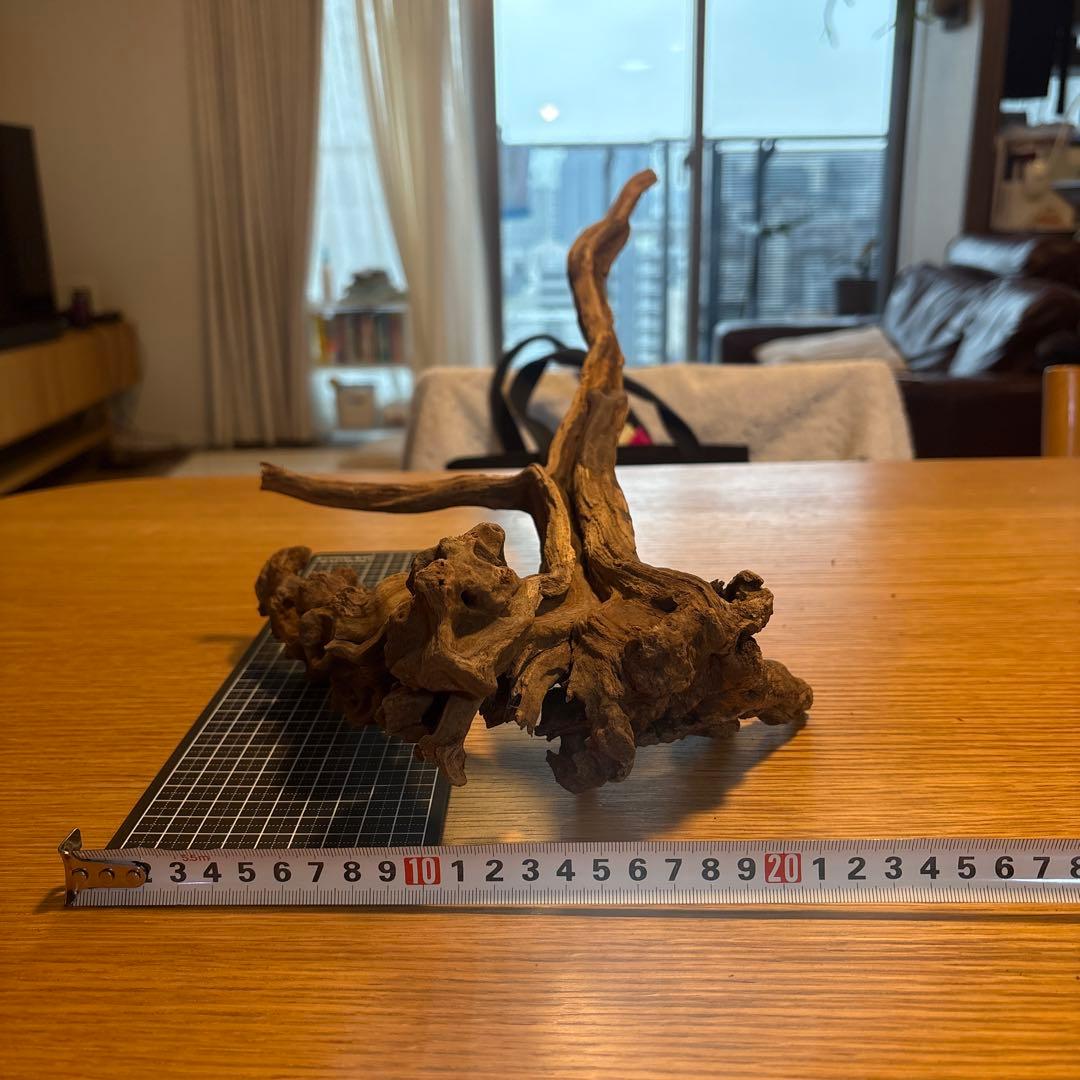 【早い者勝ち】ADA流木　5本（まとめ買い500円引）