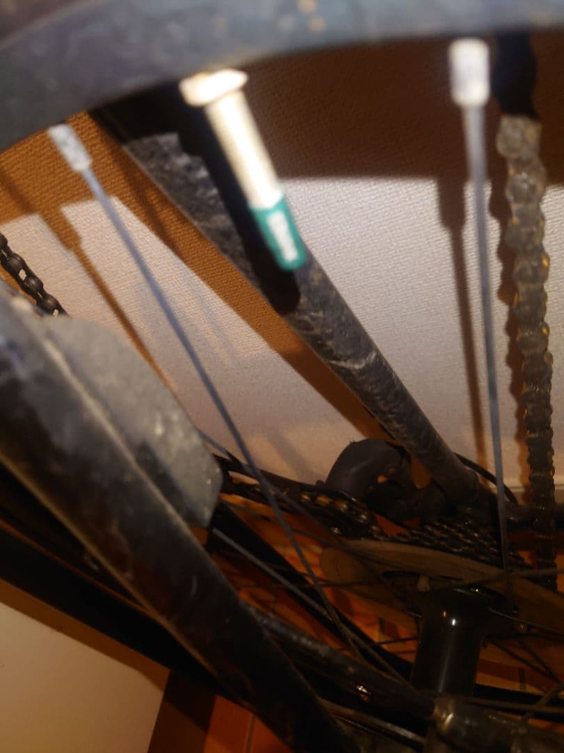 TREK DOMANE 2 2022年12月購入 サイズ54