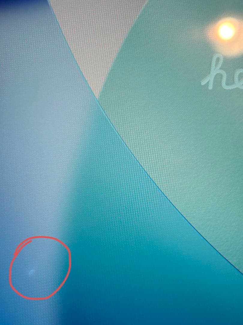 iPad mini 第5世代 [純正箱・付属品完備] ホワイトスポットあり