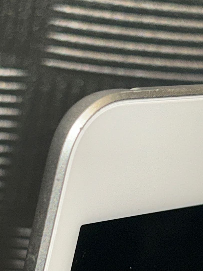 iPad mini 第5世代 [純正箱・付属品完備] ホワイトスポットあり