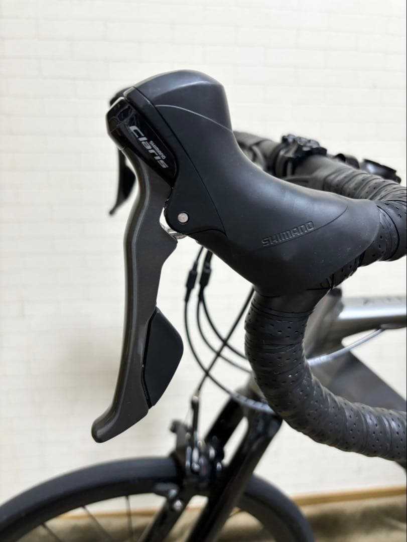 ミニベロロードバイク　turn surge ターンサージュ フェージングメタル