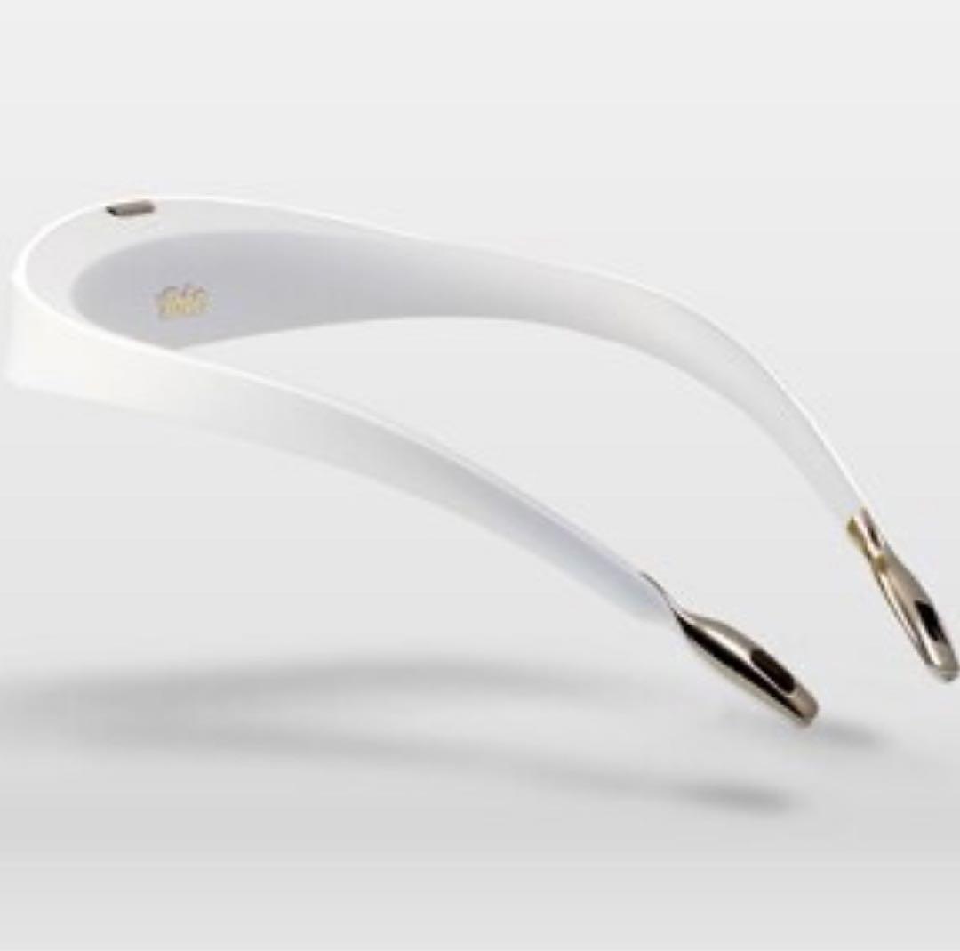 送料込み本物新品未使用未開封ウィルス防御花粉症対策に 首掛け式小型空気清浄機