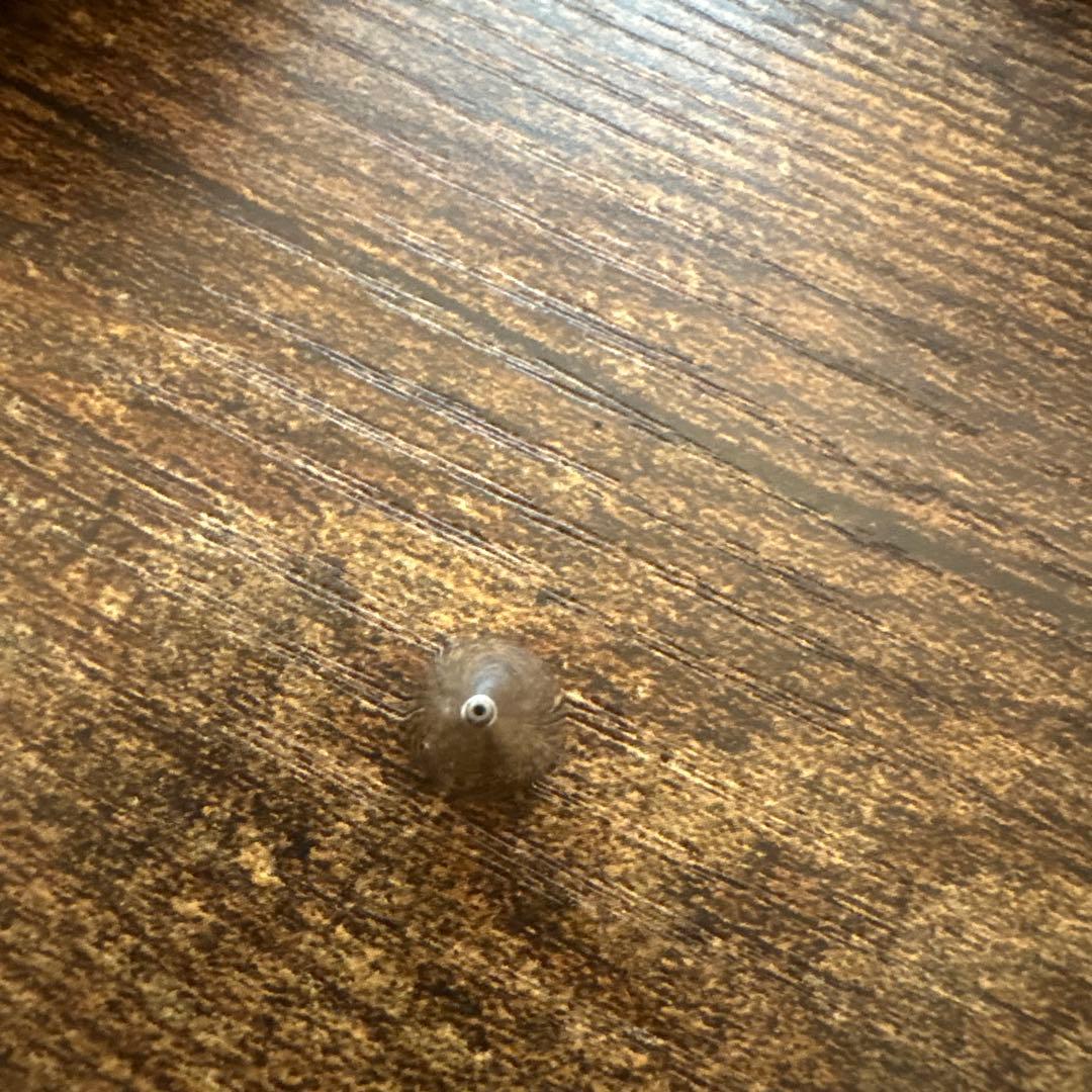 工房楔 シャーペン レースシーオーク 真鍮パイプ 0.5mm ひなた