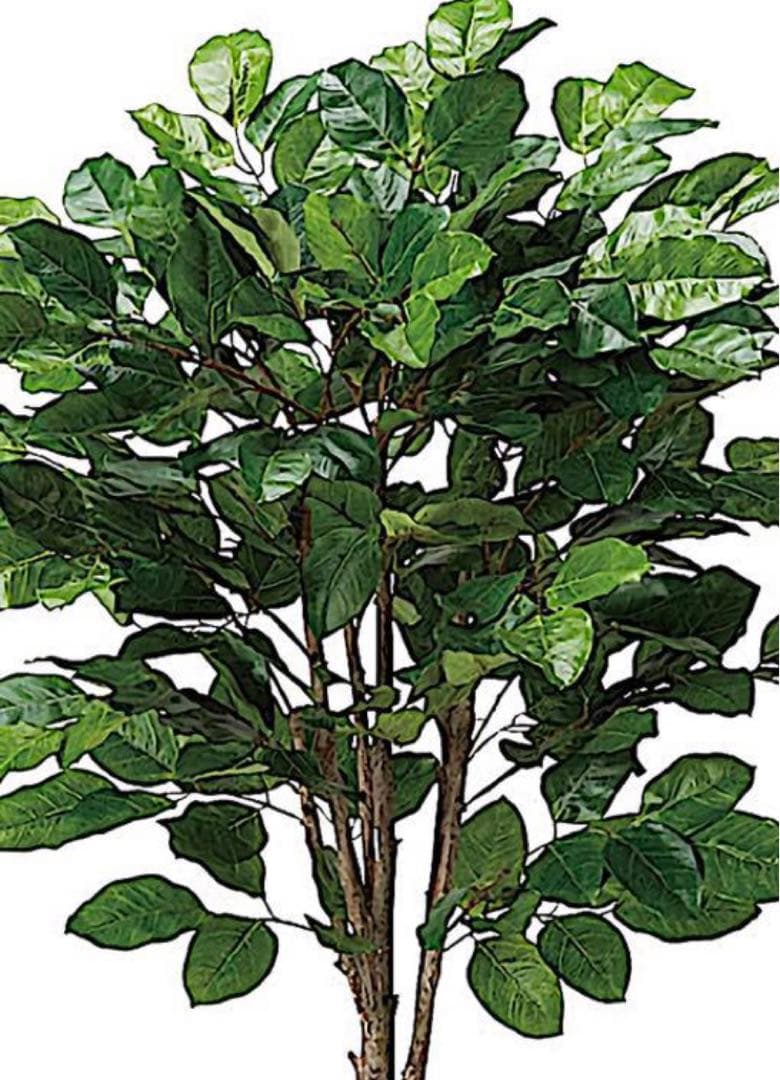 光触媒　人工観葉植物　ウォールグリーン　フェイクグリーン　ジャイアントツリー