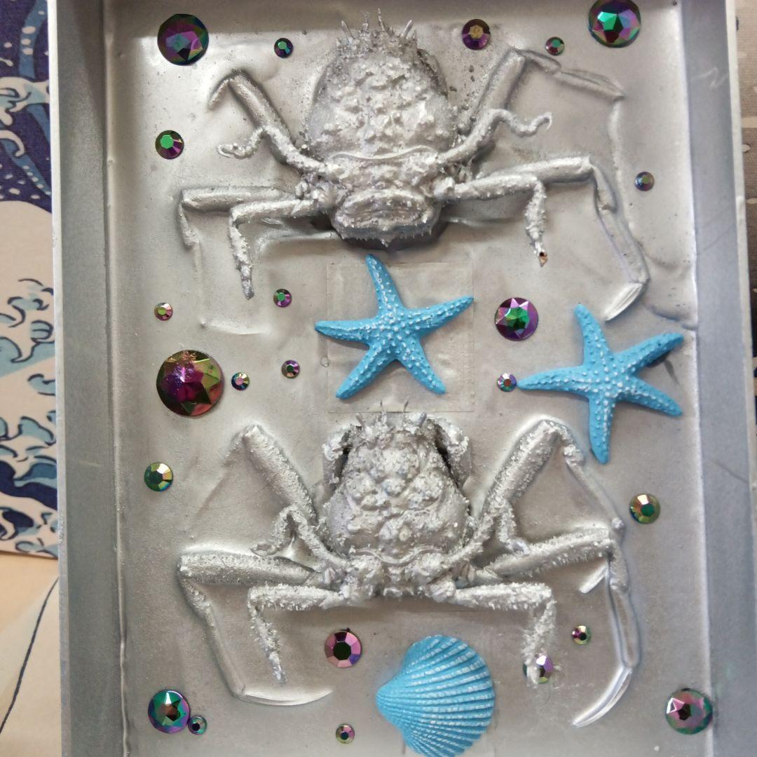 平家怨霊人面蟹稀少レア平家蟹鬼面蟹ペア二点凹凸リアル立体標本飾り置物コレクション