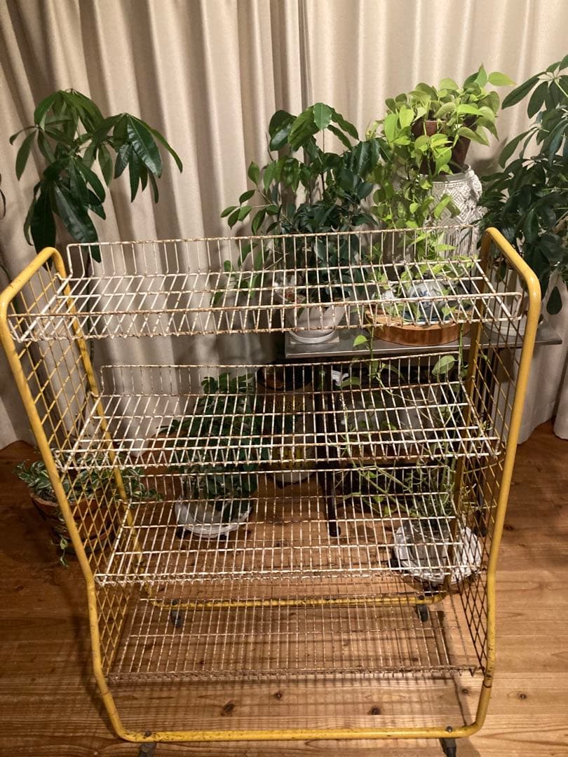 昭和レトロ　ワイヤーラック4段仕様　店舗什器　ガーデニング　シャビーラック11