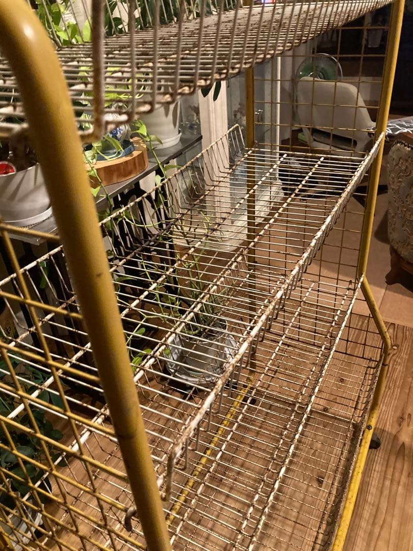 昭和レトロ　ワイヤーラック4段仕様　店舗什器　ガーデニング　シャビーラック11