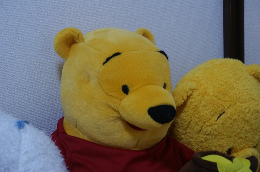 SONY α350 デジタル一眼レフカメラ 18-200mmレンズ付き