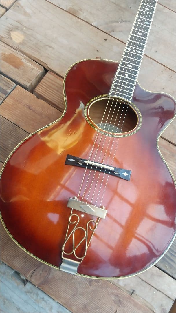 レオさん専用 ARIA Elecord AE-100 エレアコギター