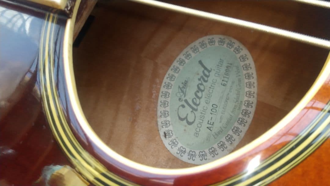 レオさん専用 ARIA Elecord AE-100 エレアコギター