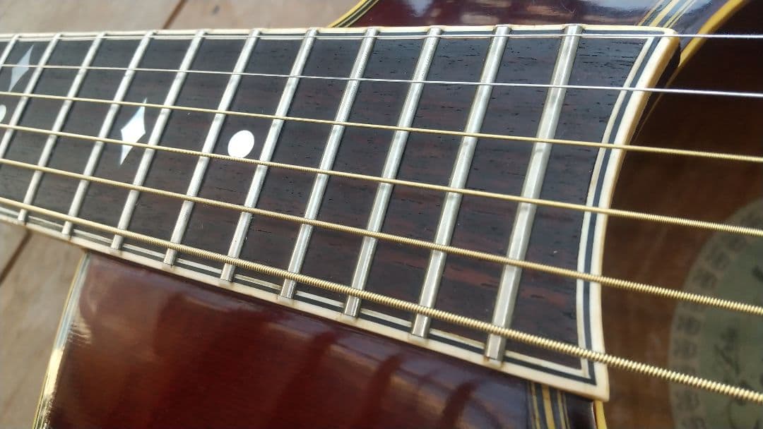 レオさん専用 ARIA Elecord AE-100 エレアコギター