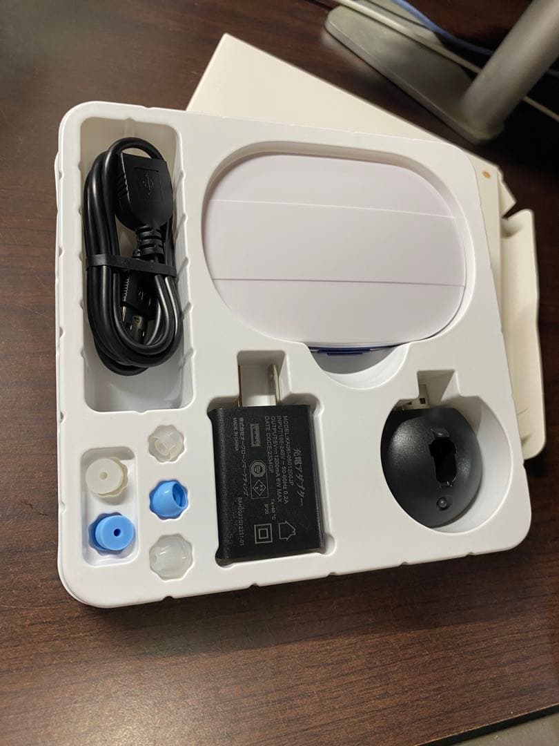 楽ちんヒアリング ベージュ　充電式補聴器　RAH-WSBE