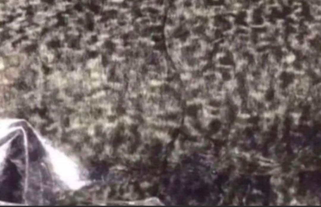 ダブル　敷布団 ロマンス岩盤浴 天然鉱石の蓄熱効果で暖かい