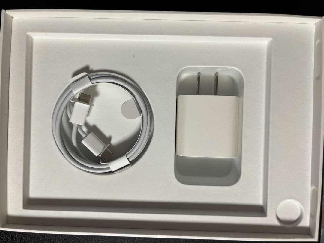 iPad mini (第6世代) セルラーモデル　64GB バッテリー93%