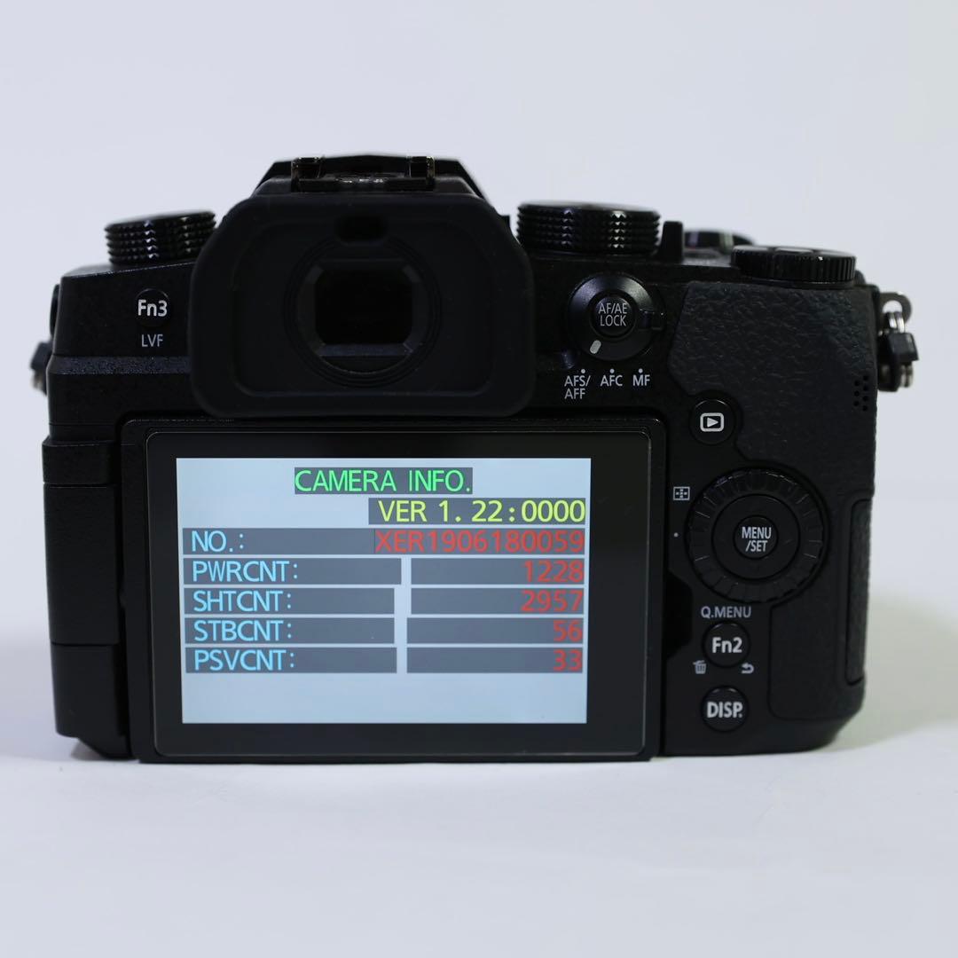 ★シャッター3000回　Panasonic LUMIX G99 少し訳あり